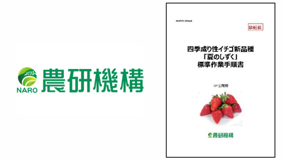 四季成り性イチゴ新品種「夏のしずく」標準作業手順書を公開　農研機構