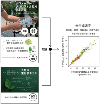 図1：高速・高精度・汎用的な光合成推定手法の概要
