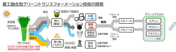 農工融合型GX技術開発へ東京大学「COI-NEXT」に参画　日本触媒