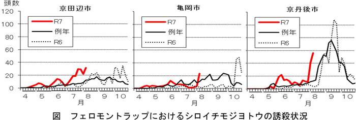 図：フェロモントラップにおけるシロイチモジヨトウの誘殺状況