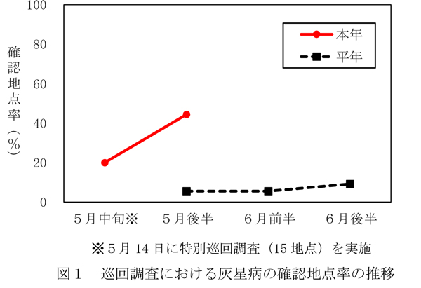 図1：巡回調査における灰星病の確認地点率の推移