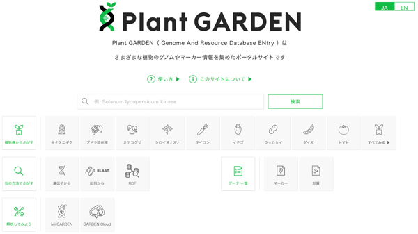 世界最多種の植物ゲノム情報　多機能データベース「Plant GARDEN」開発　かずさDNA研究所
