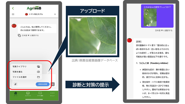 栽培アシストAI　病害虫診断画面イメージ