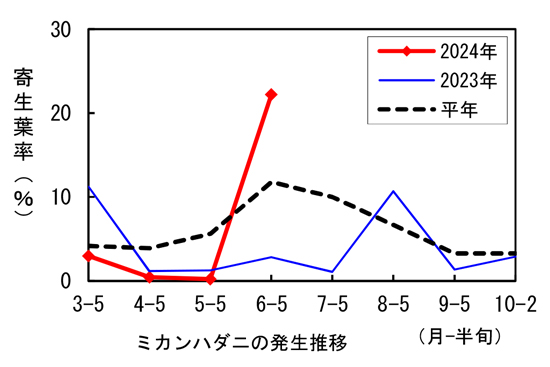 ミカンハダニの発生推移