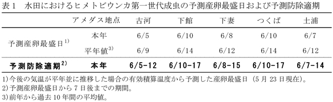 表1：水田におけるヒメトビウンカ第一世代成虫の予測産卵最盛日および予測防除適期