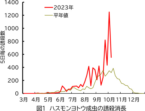 図１：ハスモンヨトウ成虫の誘殺消長