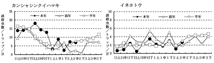 図1：メイチュウ類の性フェロモントラップによる誘殺推移（農開センター大島支場調査）。誘殺虫数は4地点の平均値（奄美大島手花部、辺留、土盛、万屋）
