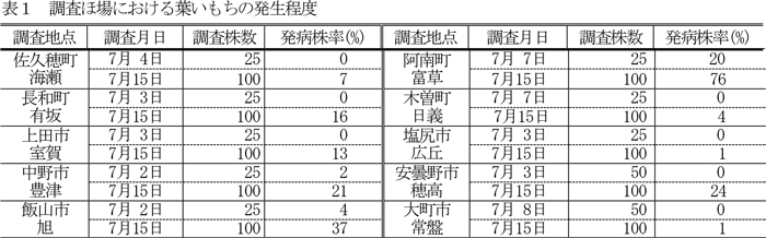 表1：調査ほ場における葉いもちの発生程度