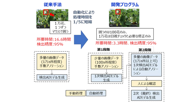 開発したプログラムの概要と特徴（イチゴの花のアノテーション作業での事例）