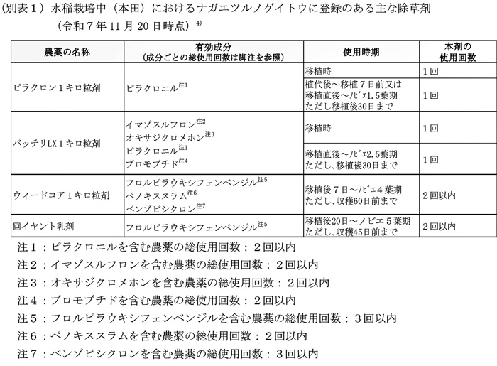 別表1：水稲栽培中（本田）におけるナガエツルノゲイトウに登録のある主な除草剤（11月20日時点）