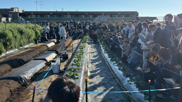 食べる側と生産する側からアスパラガスを探究　「明治大学フィールドデー2024」開催