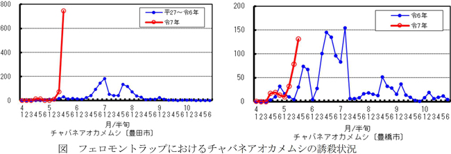 図：フェロモントラップにおけるチャバネアオカメムシの誘殺状況