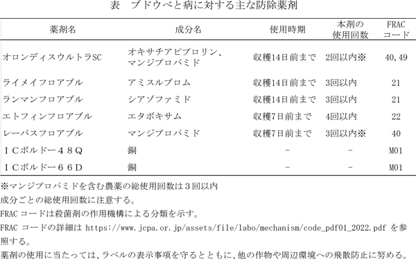 表：ブドウべと病に対する主な防除薬剤