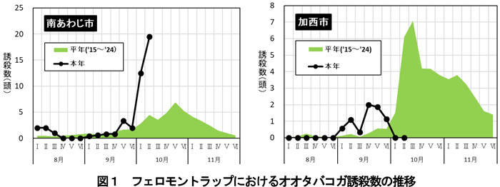図1：フェロモントラップにおけるオオタバコガ誘殺数の推移