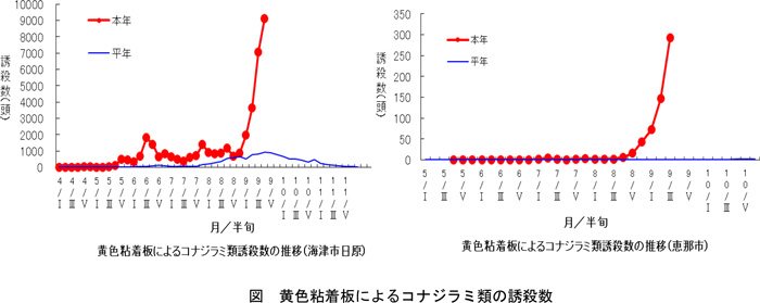 図：黄色粘着板によるコナジラミ類の誘殺数