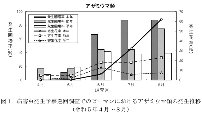 図1：病害虫発生予察巡回調査でのピーマンにおけるアザミウマ類の発生推移（令和5年4月～8月）