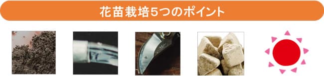 くれよんおじさんが失敗しない「花苗栽培5つのポイント」伝授　タキイ種苗