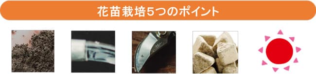 くれよんおじさんが失敗しない「花苗栽培5つのポイント」伝授　タキイ種苗