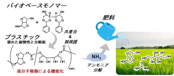 図1：研究概要図