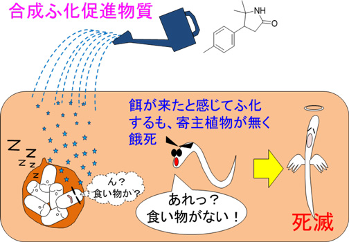 図1：合成ふ化促進物質による新たな防除法のメカニズム