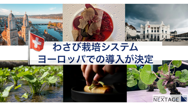 スイス・チューリッヒで「わさび栽培システム」導入　欧州で販売展開へ　NEXTAGE