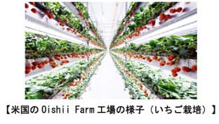 米国で植物工場を展開するOishii-Farmに出資　大和ハウスグループ_01s.jpg