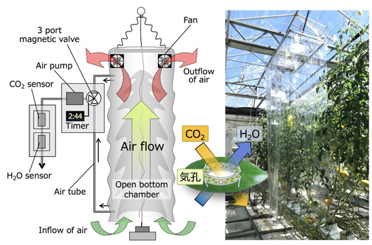 研究で使用する技術のイメージ