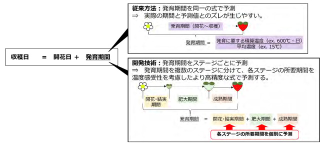 開発した収穫日予測モデル