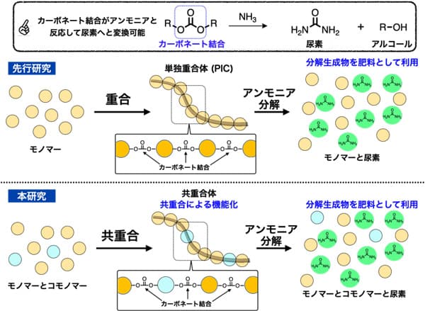 図2：先行研究と本研究