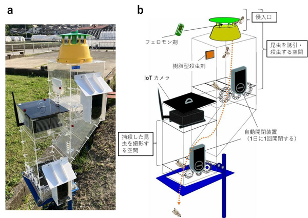 開発した害虫モニタリング装置の写真（a)と動作の流れ(b)