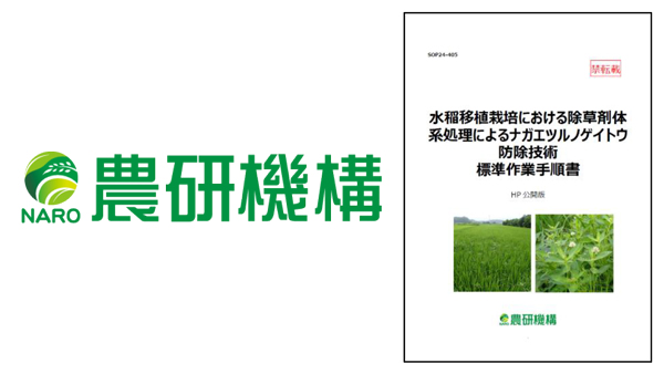 「水稲移植栽培における除草剤体系処理によるナガエツルノゲイトウ防除技術」SOP公開　農研機構.jpg