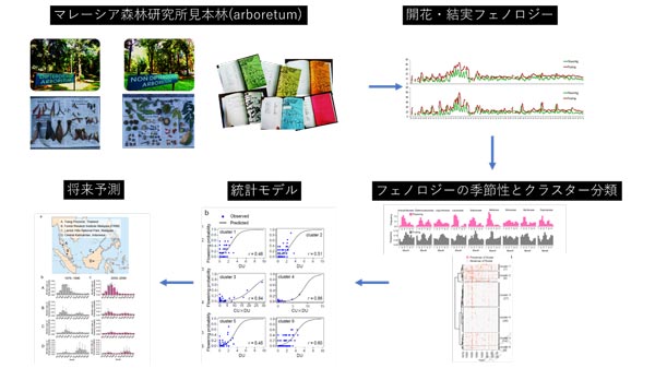 研究のアプローチ