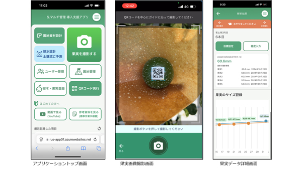 カンカンキツの高品質果実生産技術「NARO S.マルチ」管理導入支援アプリを開発　ヘッドウォータース