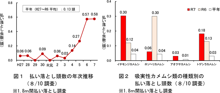 図1：払い落とし頭数の年次推移（8/10調査）　※1.8m間払い落とし調査、図2：吸実性カメムシ類の種類別の払い落とし頭数（8/10調査）　※1.8m間払い落とし調査