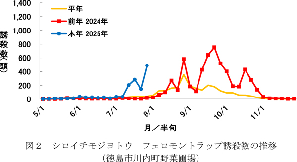 図2：シロイチモジヨトウフェロモントラップ誘殺数の推移（徳島市川内町野菜圃場）