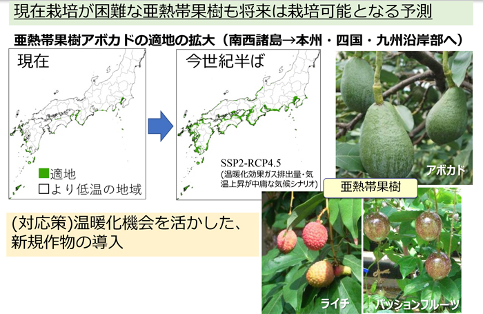 樹種転換・園地移動（予測マップの開発）現在栽培が困難な亜熱帯果樹も将来は栽培可能となる予測