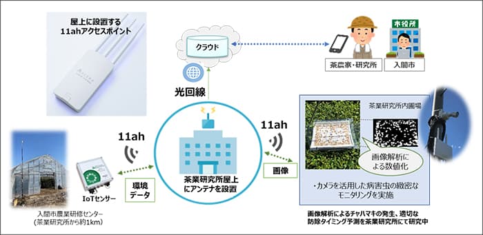 Wi-Fi新規格「11ah」活用　茶葉栽培で農業DX実証実験　埼玉県入間市で開始_01.jpg