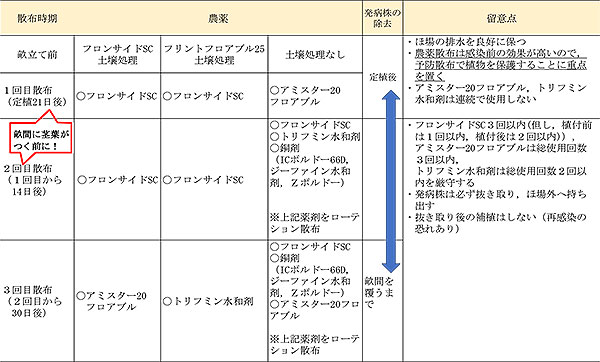 表2：ほ場での農薬等による防除対策の一例