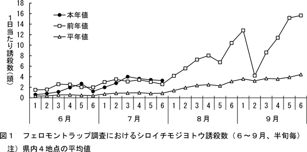 図1：フェロモントラップ調査におけるシロイチモジヨトウ誘殺数（6～9月、半旬毎）注）県内4地点の平均値