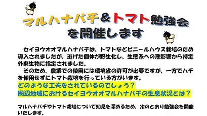 マルハナバチとトマト栽培の知見を深める勉強会　美瑛町で開催　北海道上川総合振興局