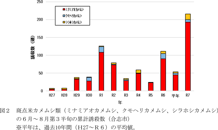 図2：斑点米カメムシ類（ミナミアオカメムシ、クモヘリカメムシ、シラホシカメムシ）の6月～8月第3半旬の累計誘殺数（合志市）※平年は、過去10年間（H27～R6）の平均値。