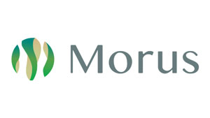 「カイコ」テクノロジーを活用　グリーンバイオ産業の創出プロジェクトに採択　Morus.jpg