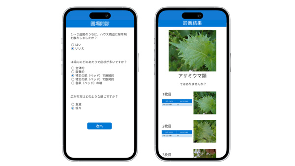 AIによるシソの病害虫画像診断