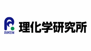 堆肥-土壌-植物の相互作用モデルの構築に成功　持続可能な農業の推進に期待　理化学研究所ら