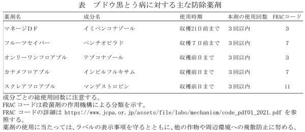 表：ブドウ黒とう病に対する主な防除薬剤