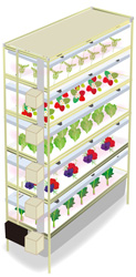 RGB独立調光型LED植物栽培装置「AGRI-Oh！（アグリ王）シリーズ」