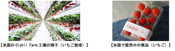 米国で植物工場を展開するOishii-Farmに出資　大和ハウスグループ_01.jpg