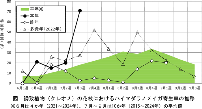 図：誘致植物（クレオメ）の花枝におけるハイマダラノメイガ寄生率の推移　※6月は4か年（2021～2024年）、7月～9月は10か年（2015～2024年）の平均値