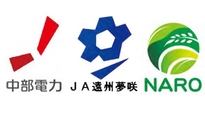 バイオ炭を活用　茶園土壌の炭素貯留に関する実証試験を開始　農研機構