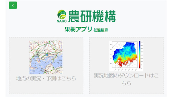 低温積算時間の実況と予測値をリアルタイムに　スマホで果樹の促成栽培管理を支援　農研機構